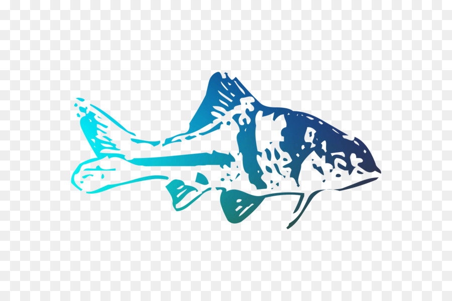 Peixe，Azul PNG