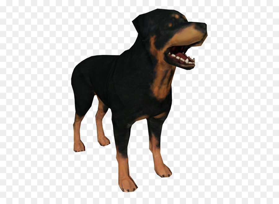 Rottweiler，Filhote De Cachorro PNG