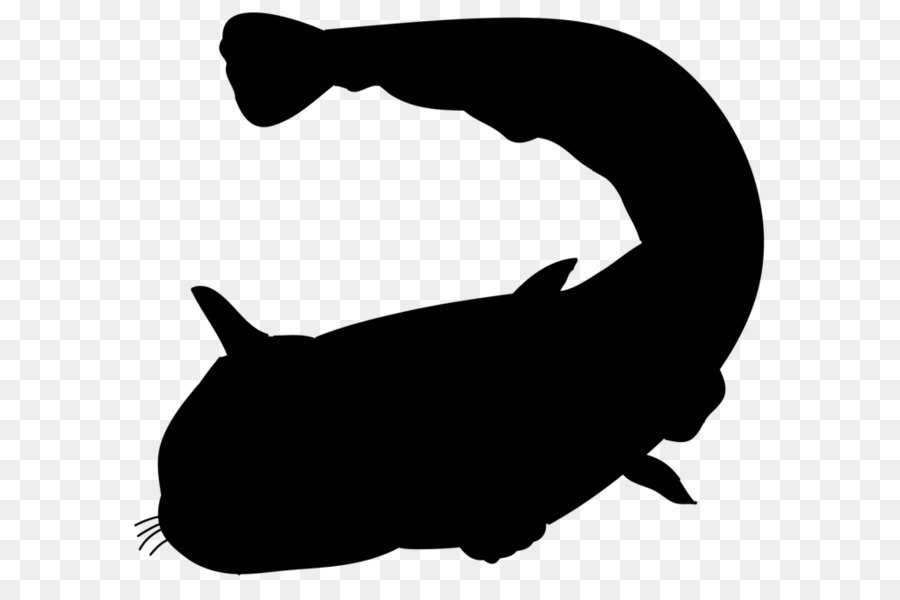 Gato，Cachorro PNG