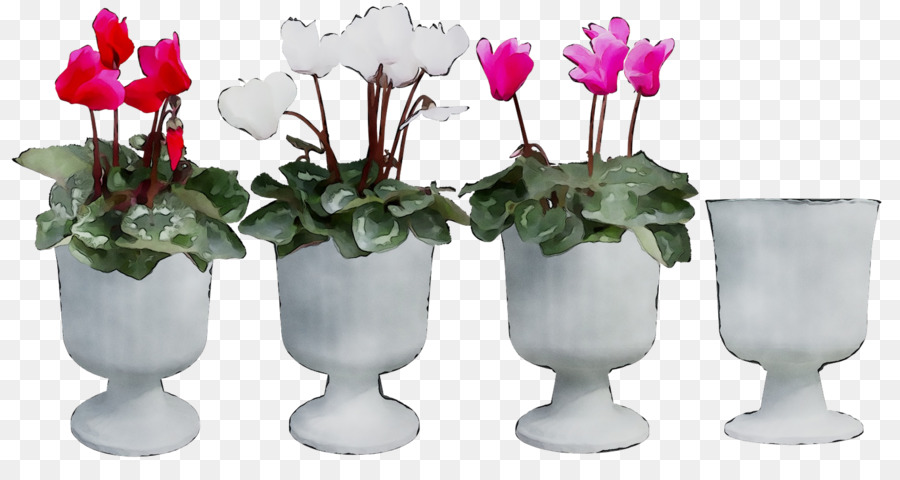 Vasos De Flores，Ciclâmen PNG