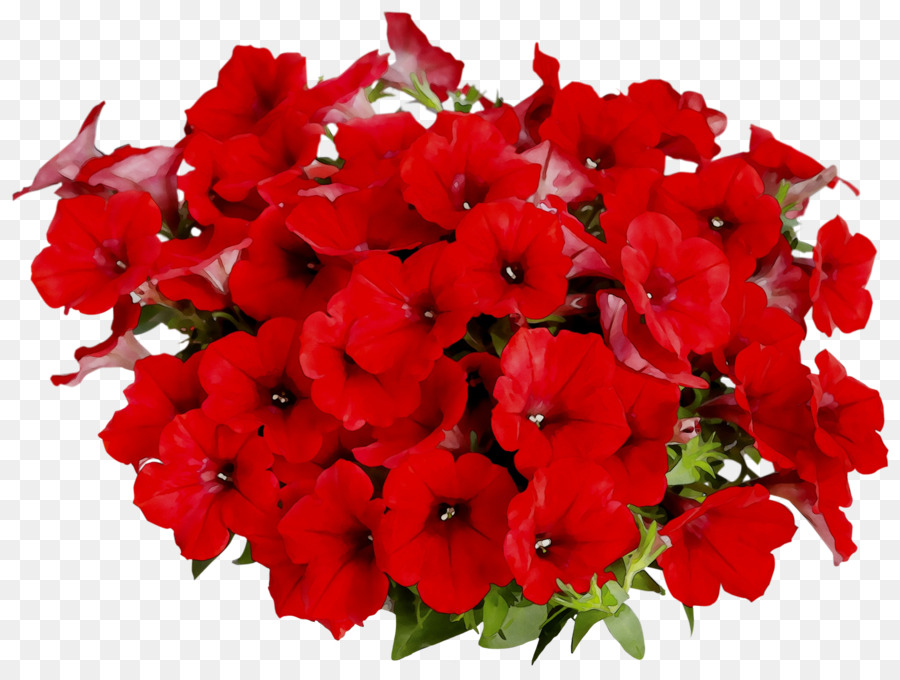 Flores Vermelhas，Florescer PNG