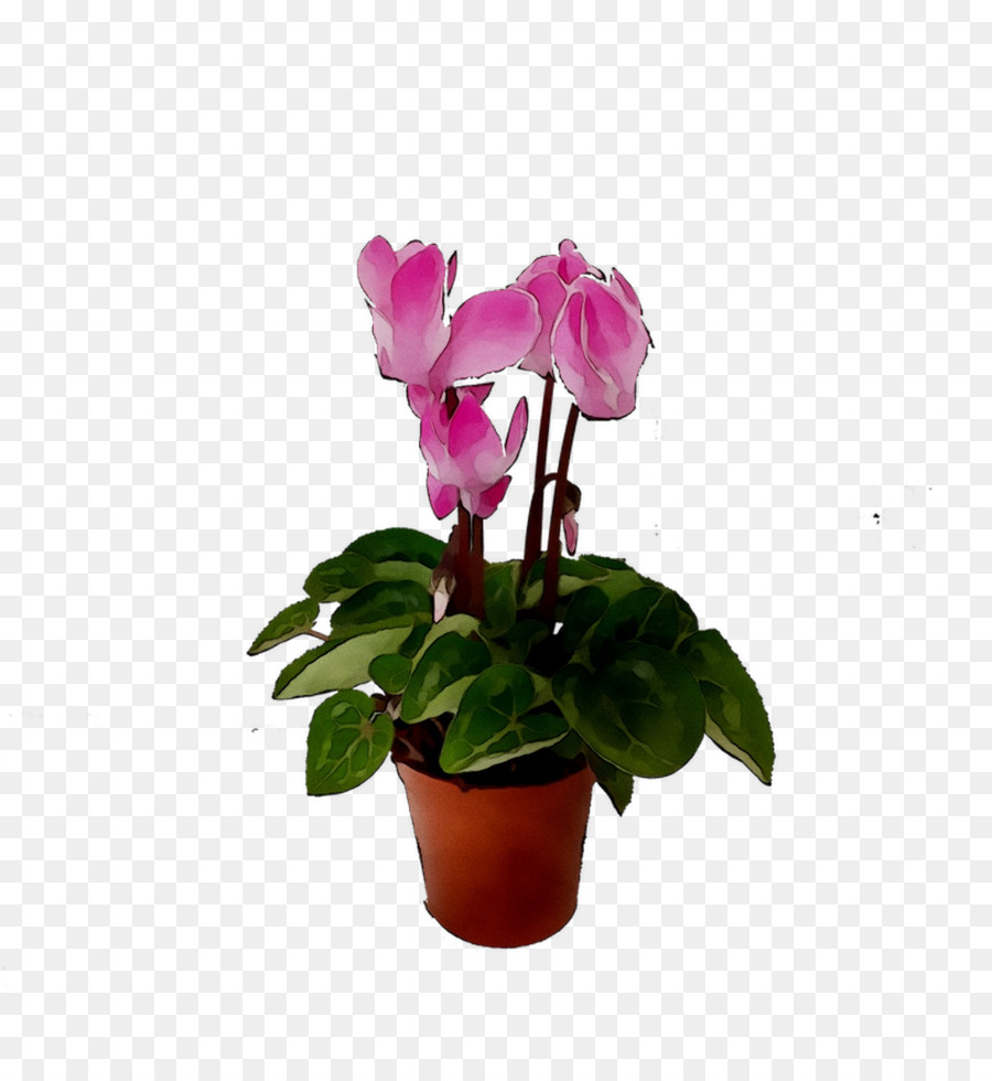 Flores Cor De Rosa，Pote PNG