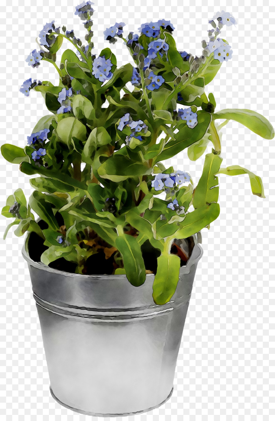 Primavera Verdes，Verdes PNG