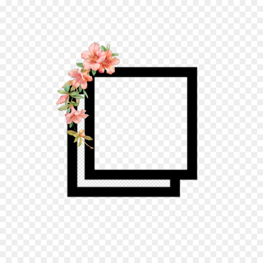 Moldura Floral，Quadro PNG