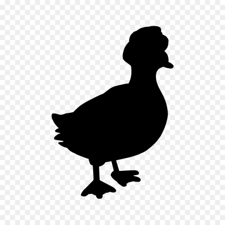 Pato，Ganso PNG