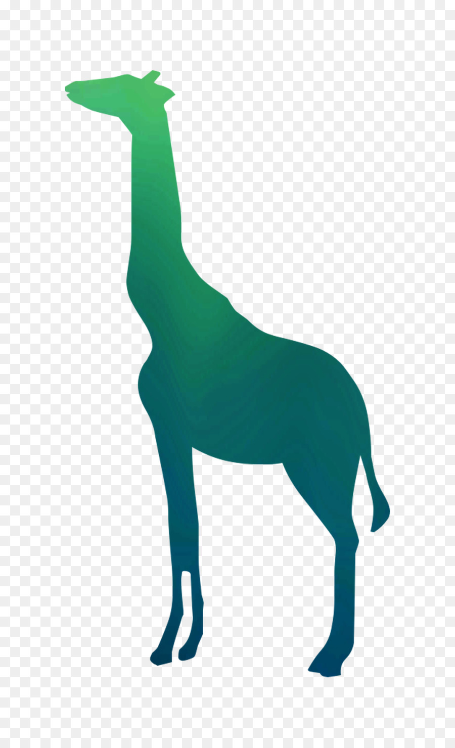 Girafa，De Autocolantes De Parede PNG