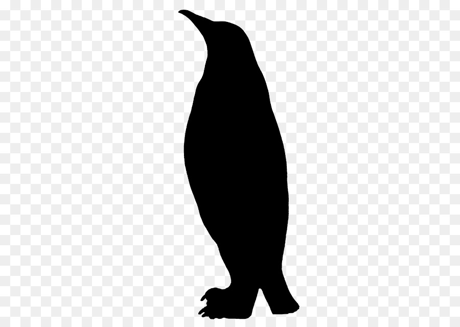 Penguin，A Fauna PNG