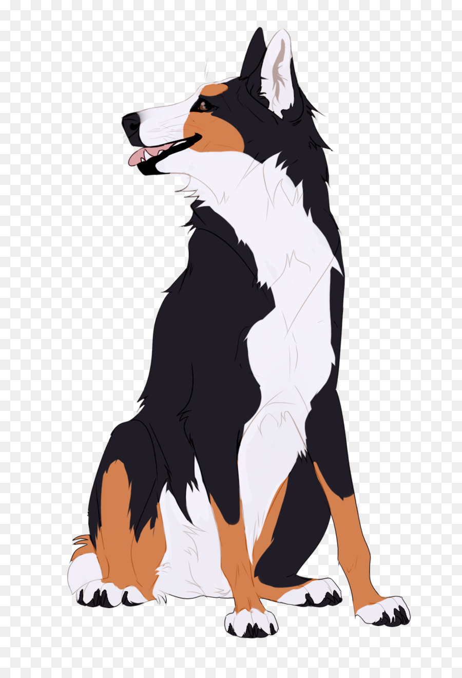 Raça Do Cão，Border Collie PNG