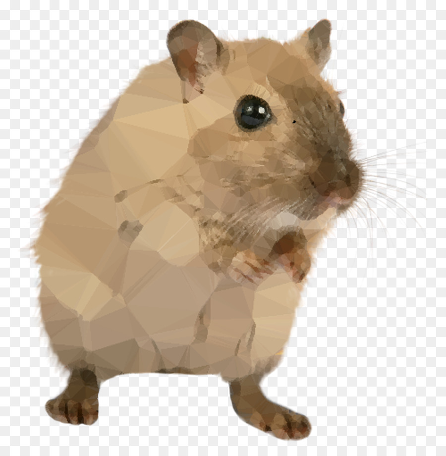 Marrom De Ratos，Roedores PNG