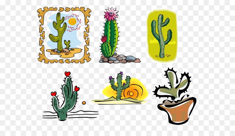 Cactus，Desenho PNG