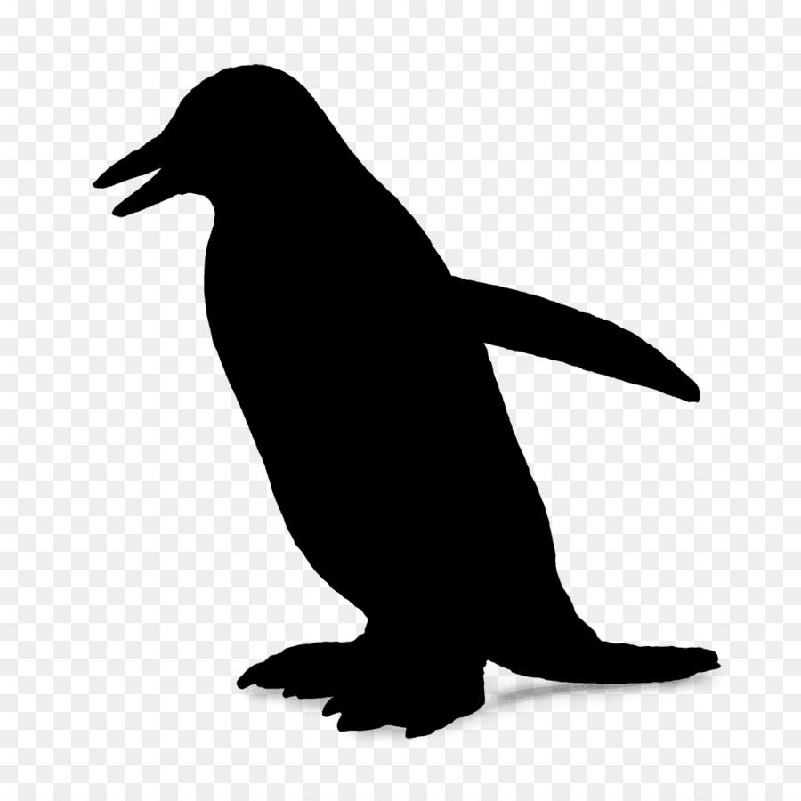 Pinguim，Pássaro PNG