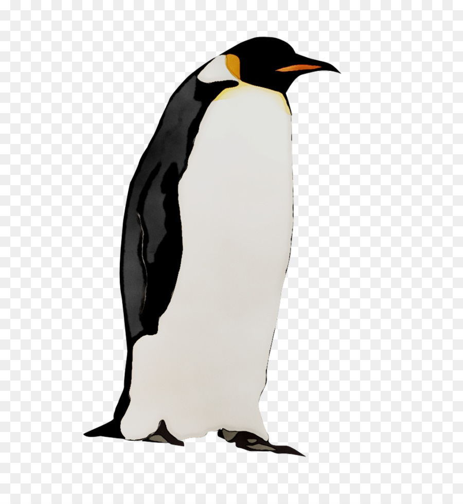 Pinguins，Pássaros PNG