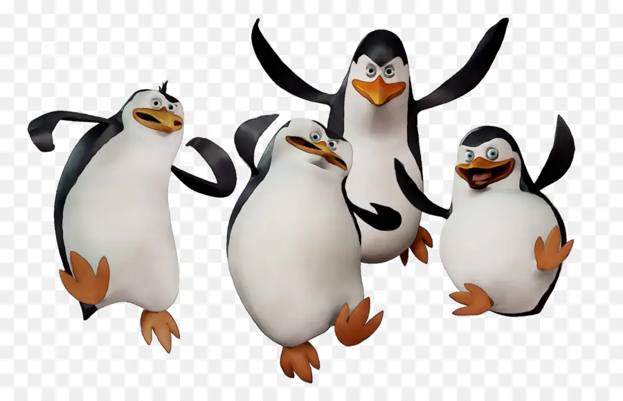 Penguin，Pinguim Rei PNG