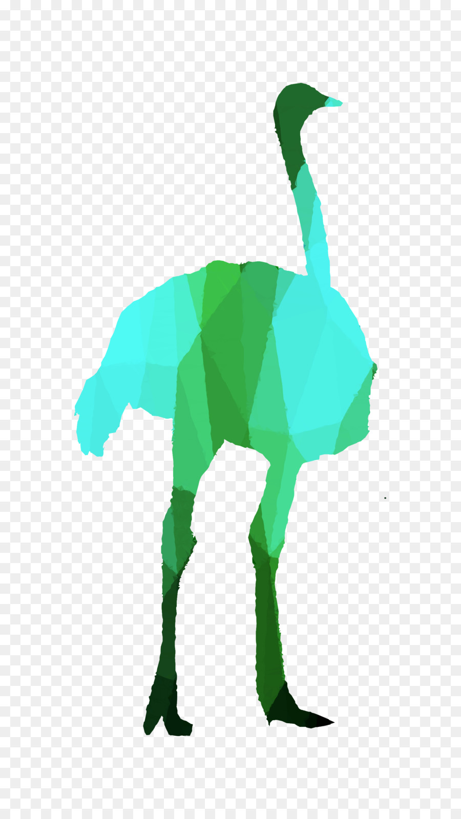 Aves，Bico PNG