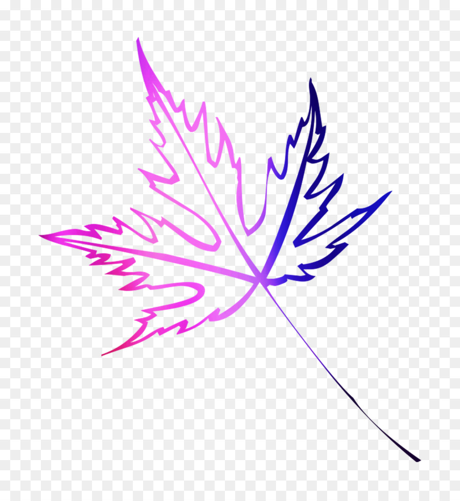 Red Maple，Maple Leaf PNG