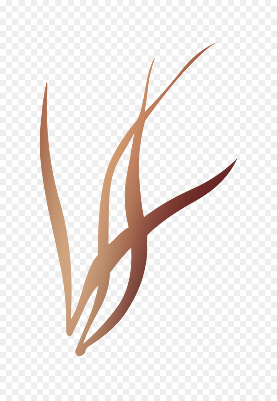 Linha，Antler PNG