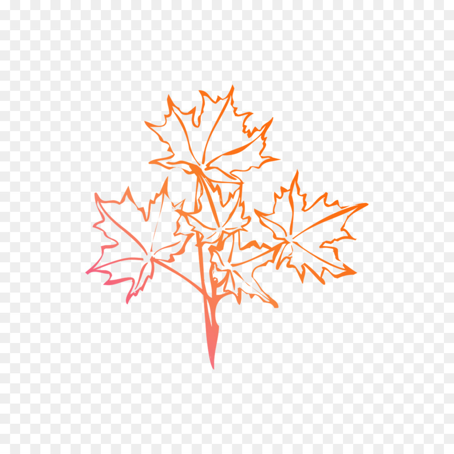 Maple Leaf，Linha PNG