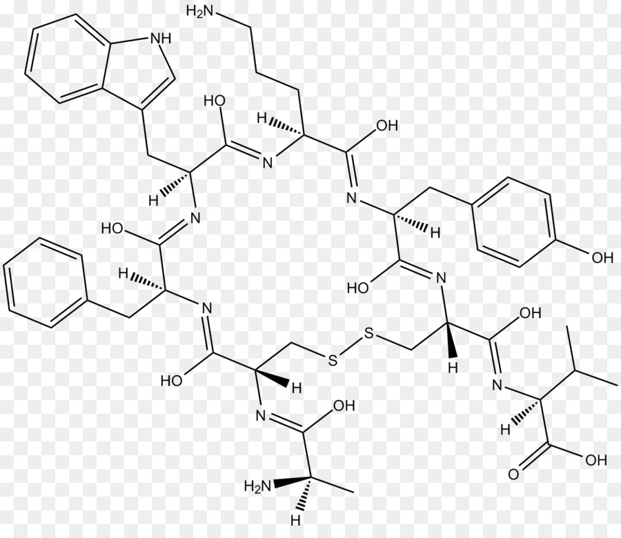 Estrutura Química，Molécula PNG