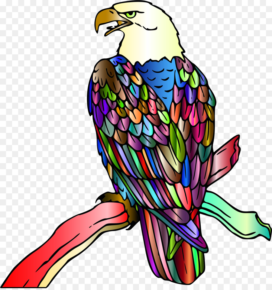 águia Careca，Aves PNG