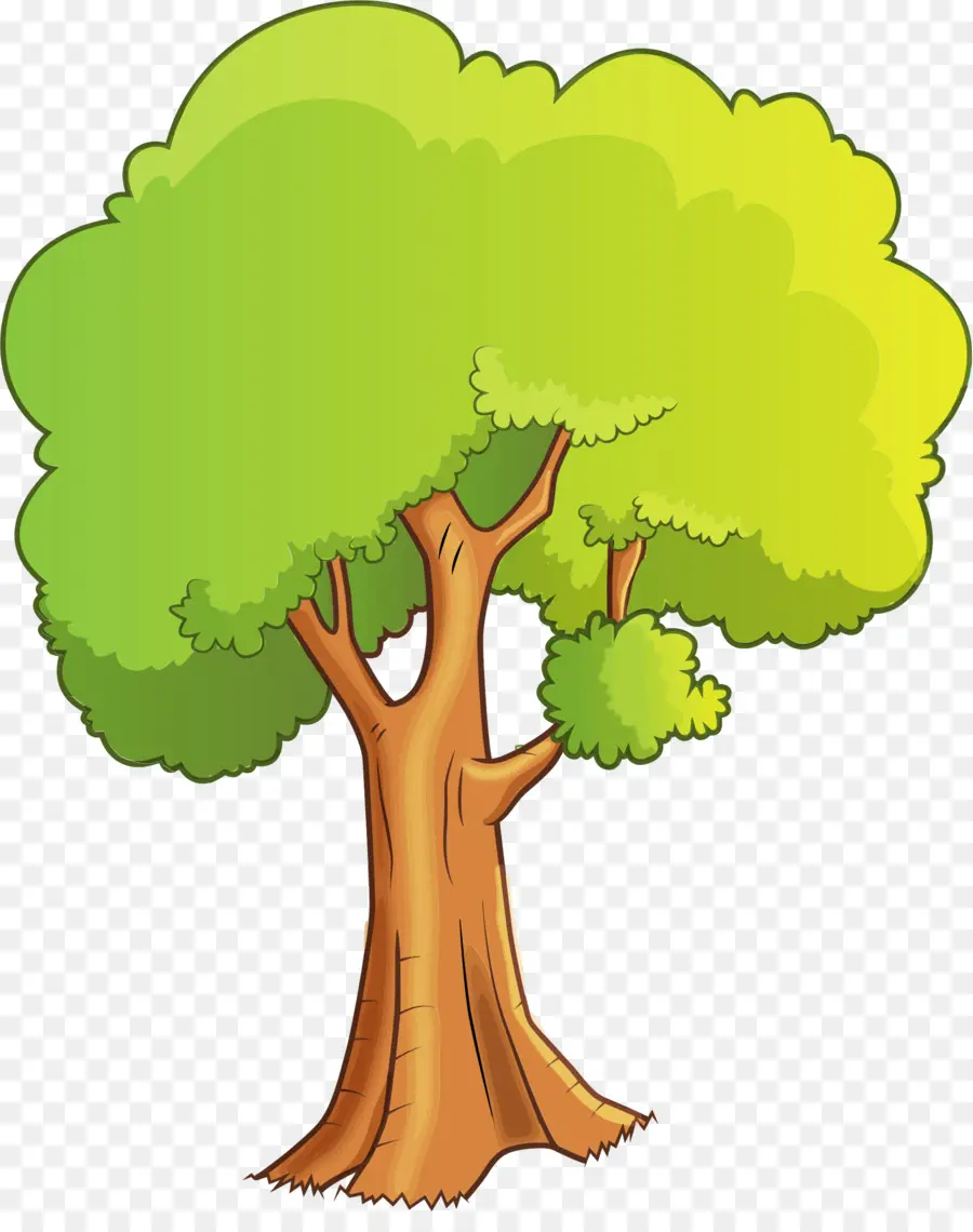 Desenho，árvore PNG
