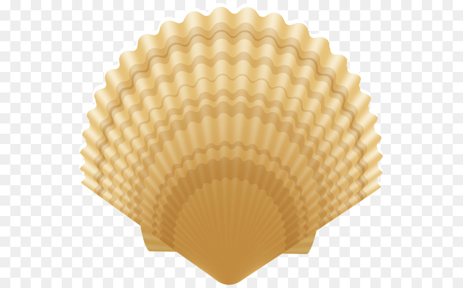 Clam，Seashell PNG