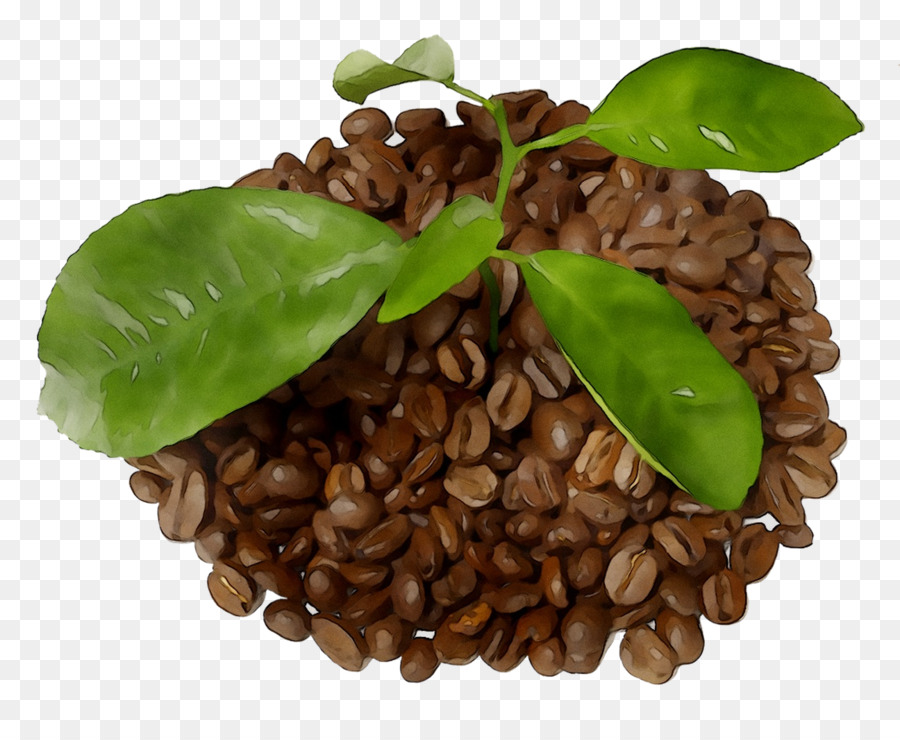 Café，Fotografia PNG