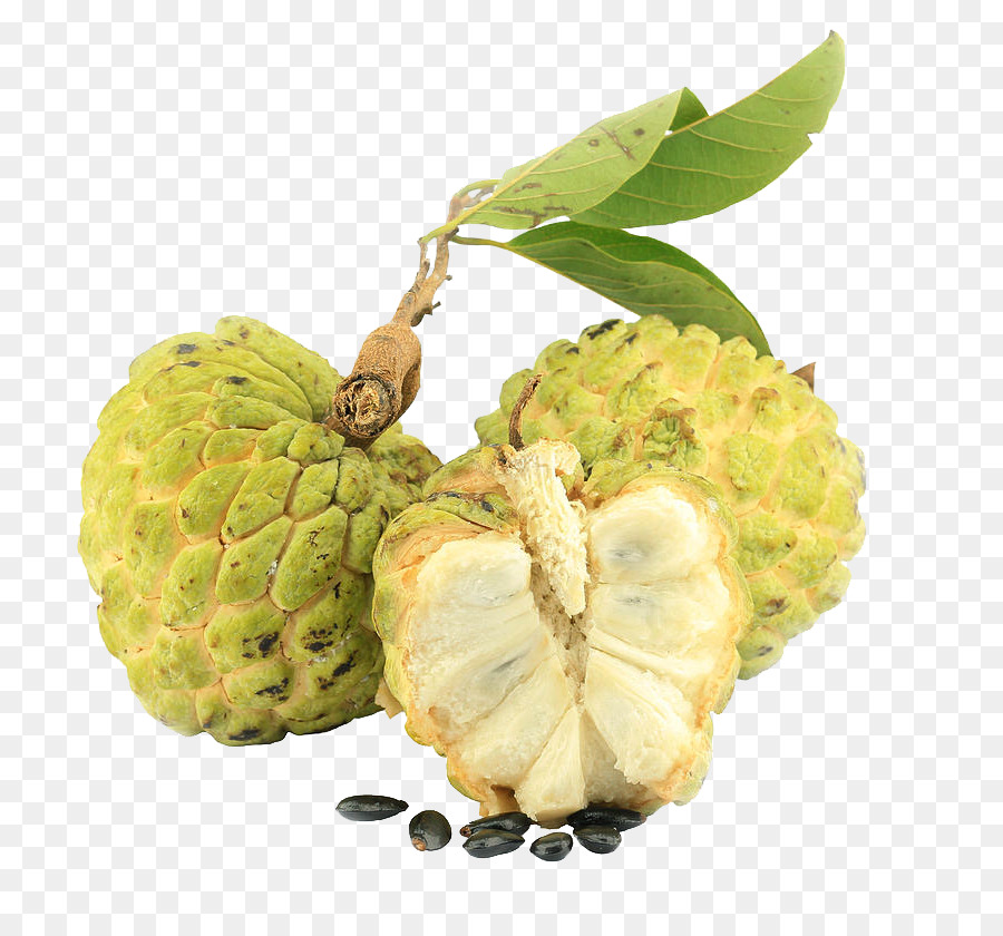 Sugarapple，Soursop PNG