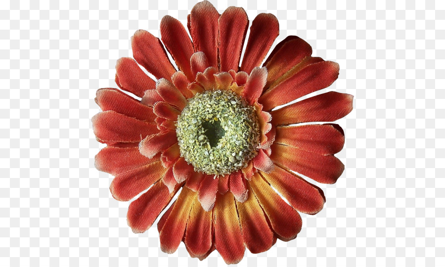 Flor Vermelha，Flor PNG