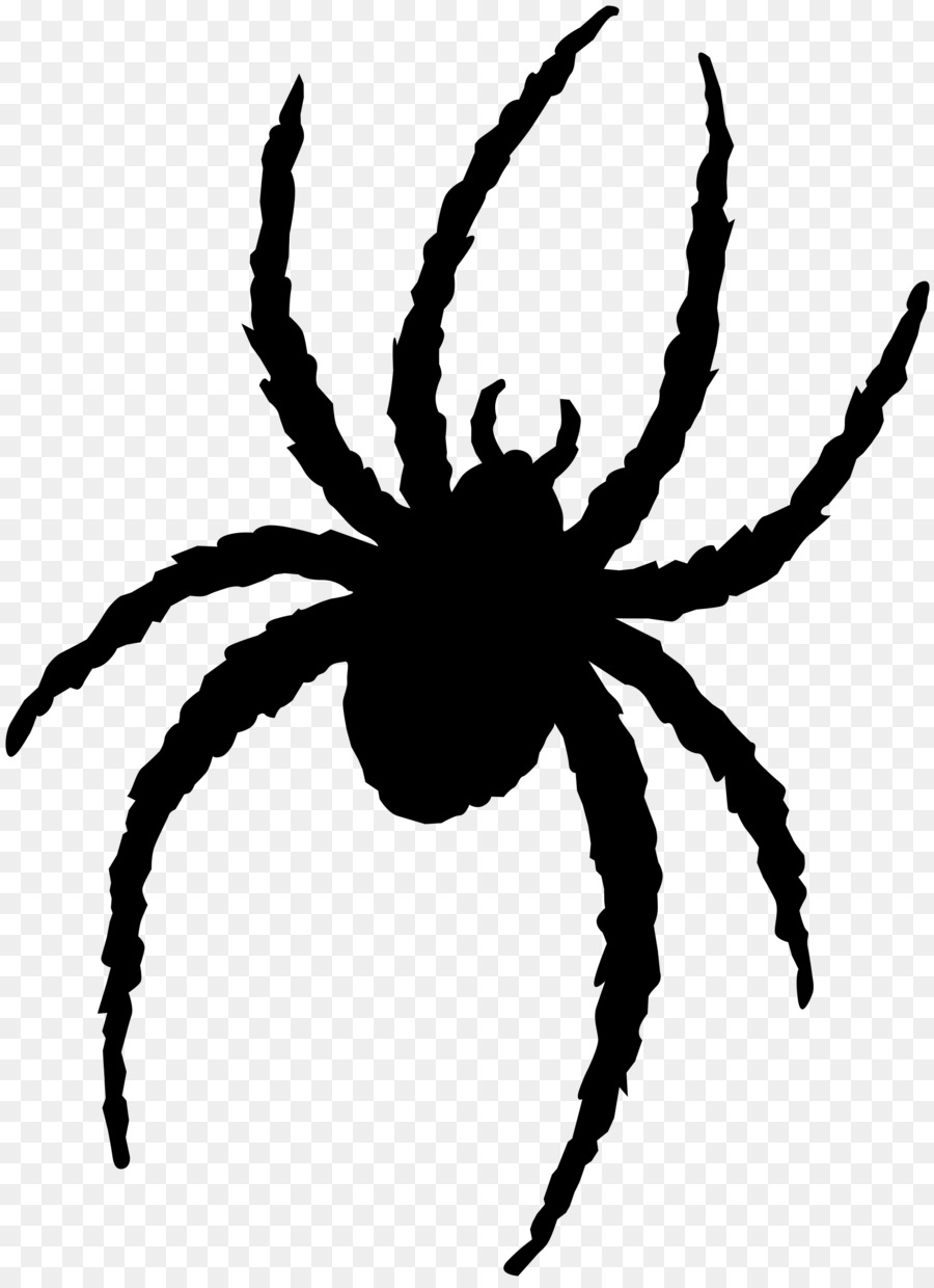 Aranha，Aracnídeo PNG