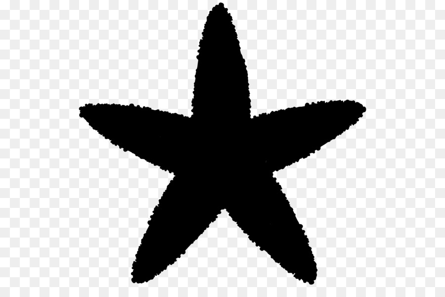 Estrela Negra，Forma PNG