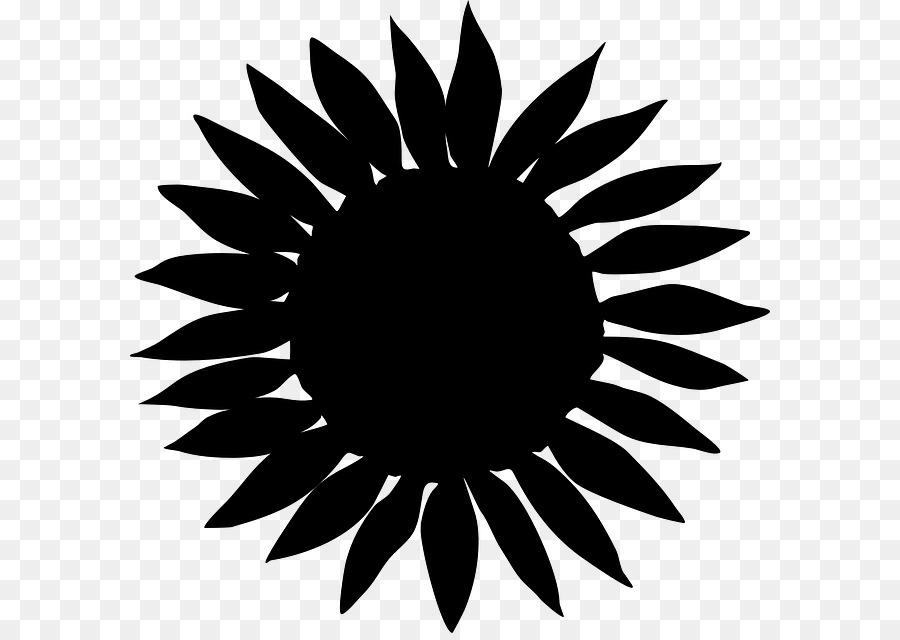 Sol Negro，Círculo PNG