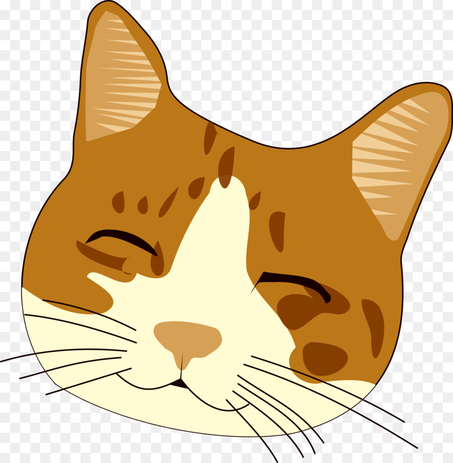 Gato Fofo，Gatinho PNG