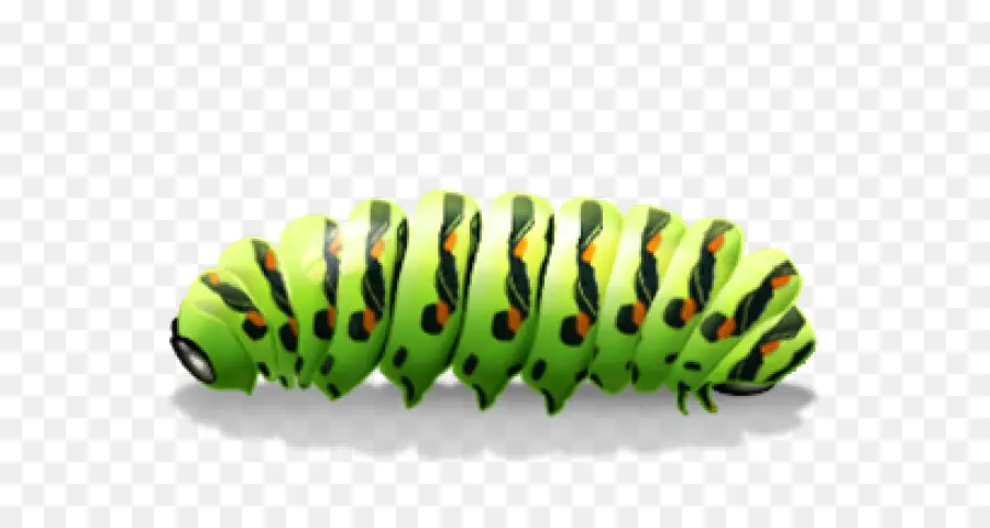 Lagarta，Larva PNG