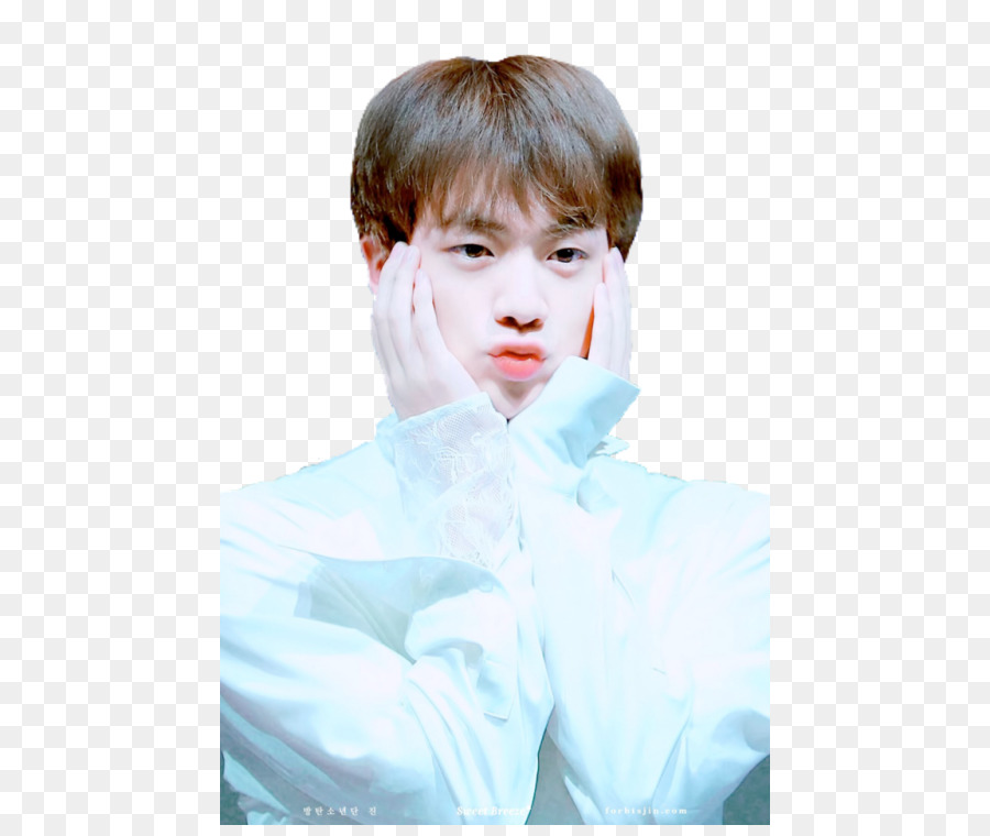 Jin，Bts PNG