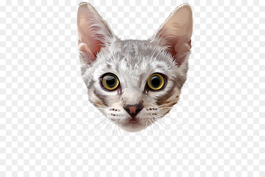 Bigodes，Gato PNG