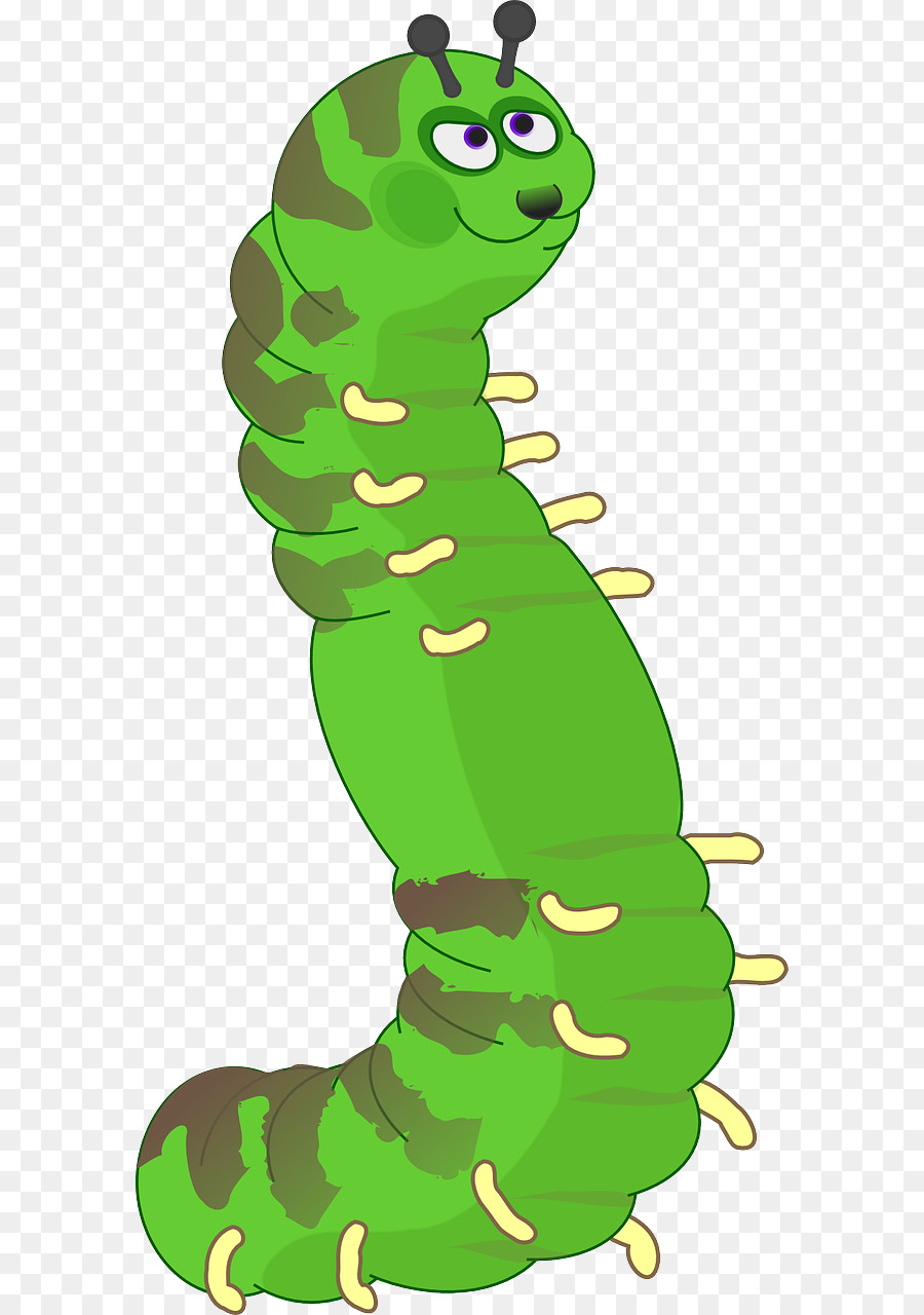 Caterpillar，Very Hungry Caterpillar PNG