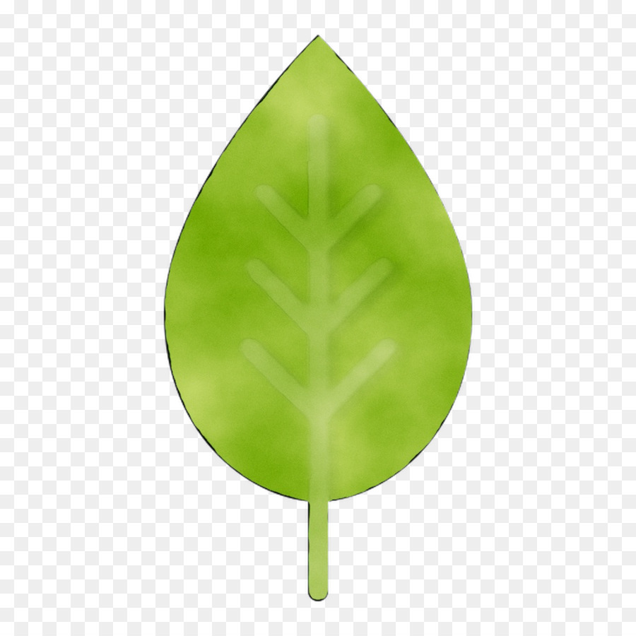 Verde，Folha PNG