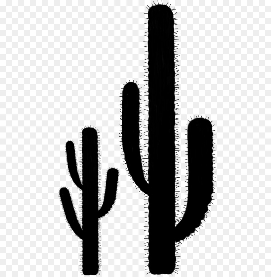 Linha，Saguaro PNG