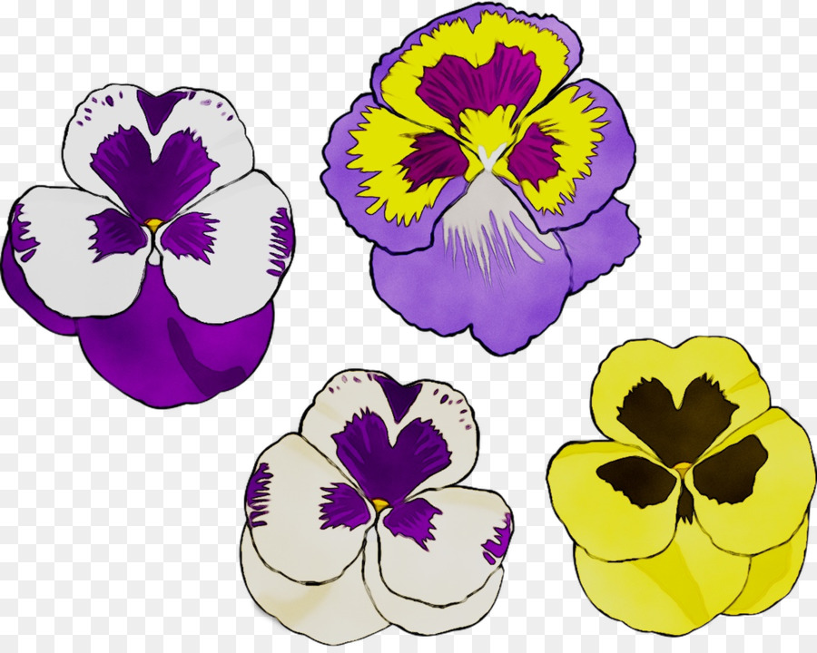 Pansy，Planta Herbácea PNG