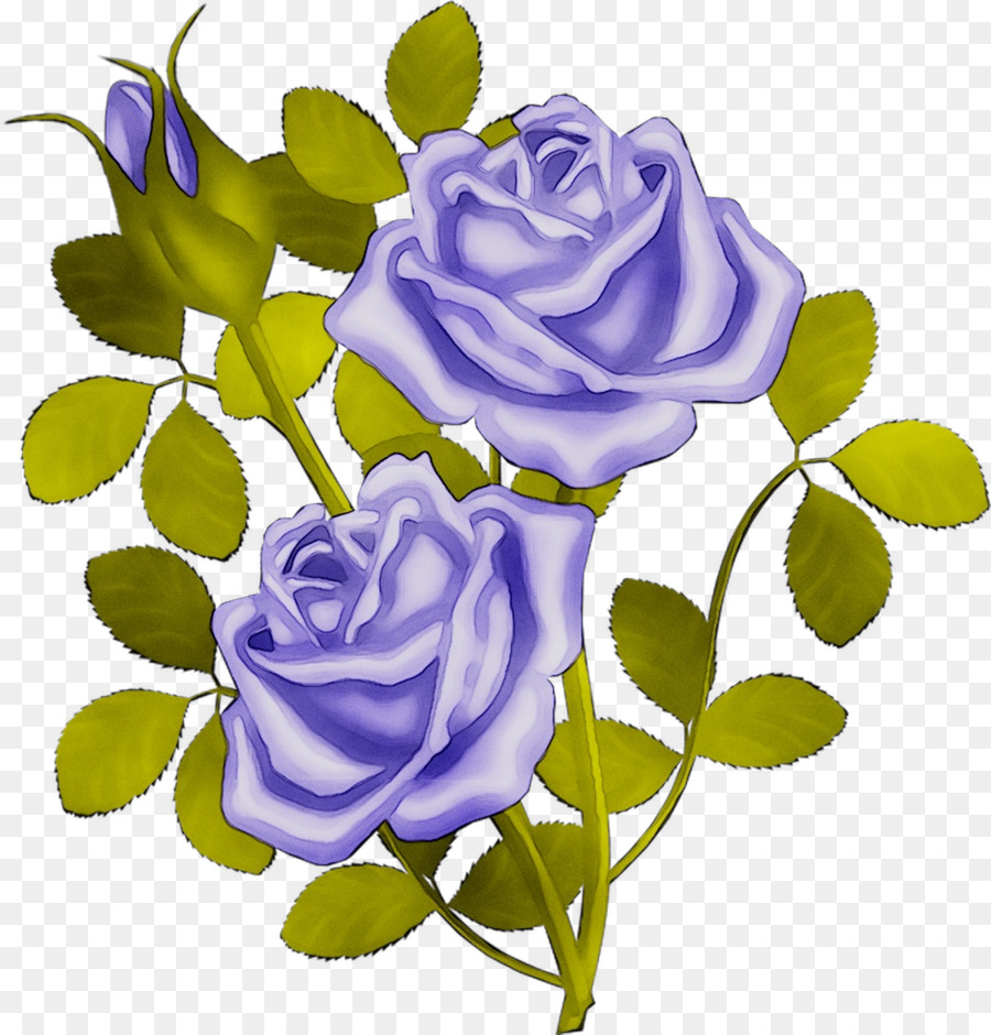 As Rosas Do Jardim，Rosa Azul PNG