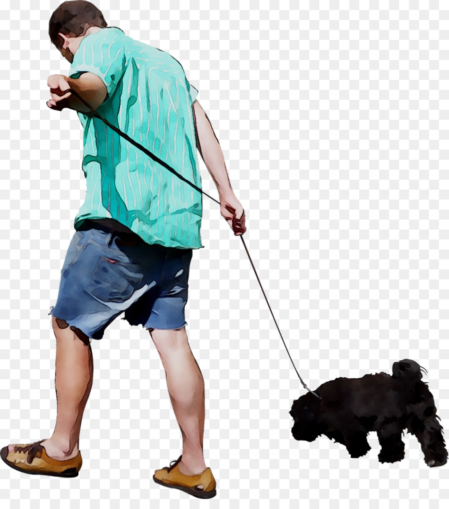 Leash，Cão De água Português PNG