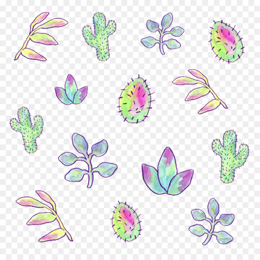 Cactus，Suculenta Planta PNG