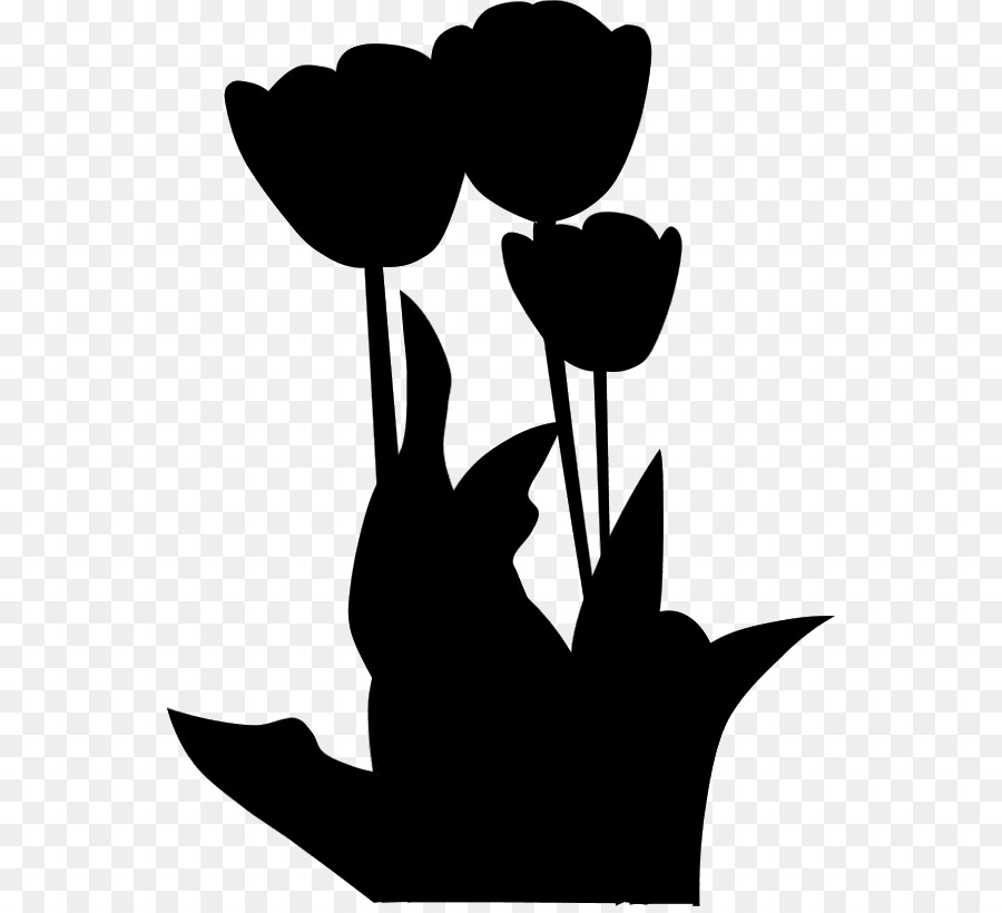 Flor，Tulip PNG