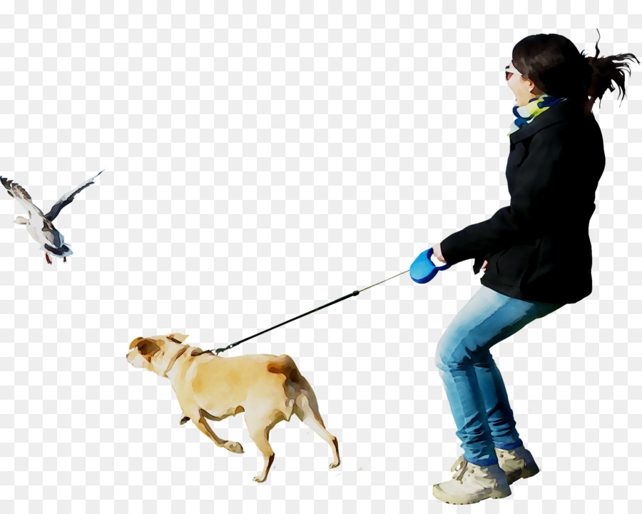 Raça Do Cão，Leash PNG