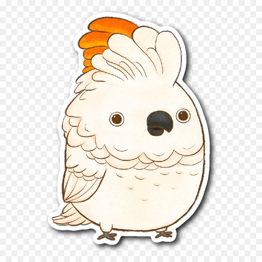 Coruja，Aves PNG