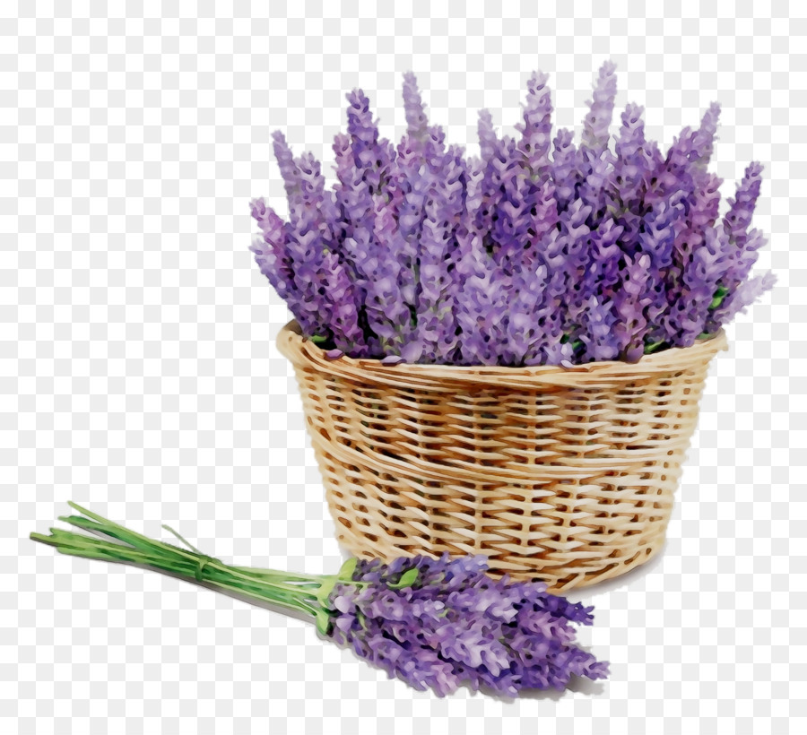 Lavanda，Flor PNG