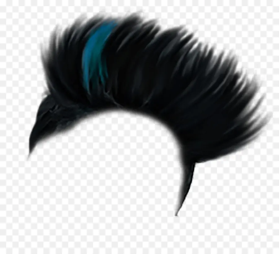 Cabelo Moicano Preto，Penteado PNG