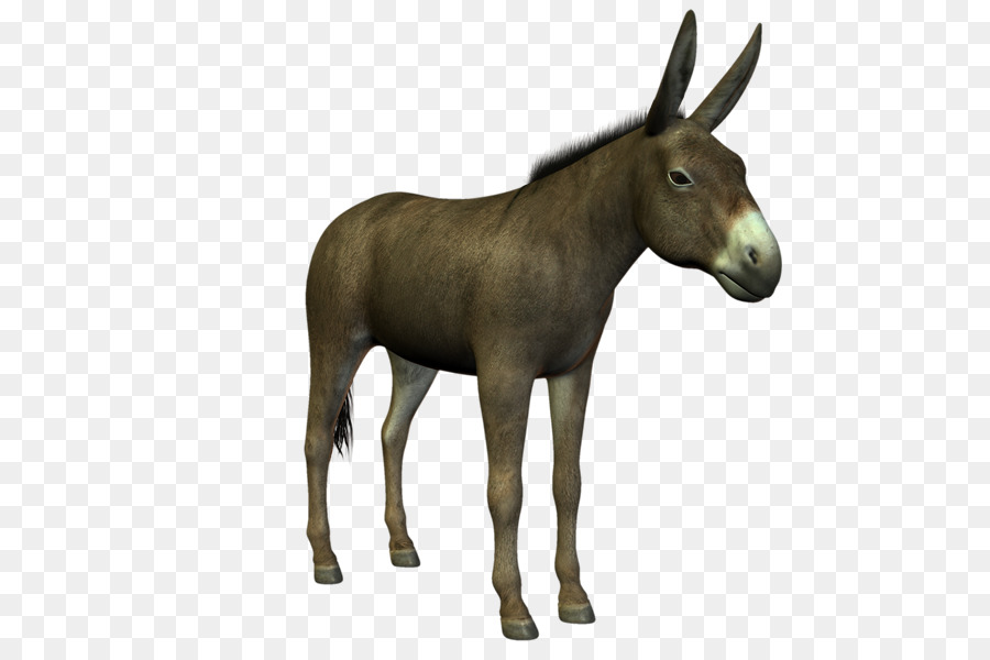 Burro，Fazenda PNG