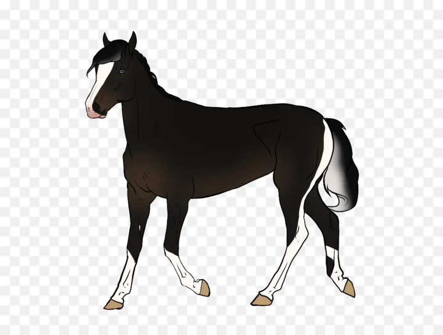 Cavalo Marrom E Branco，Equino PNG