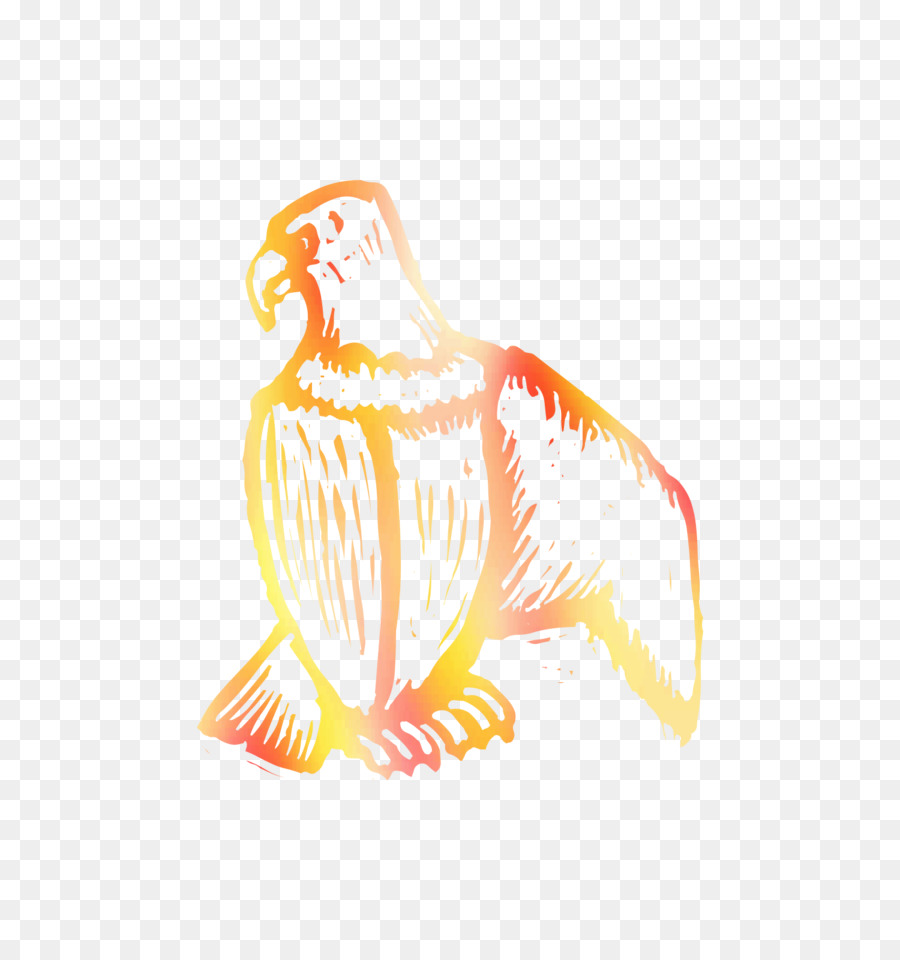 Frango，Desenho PNG